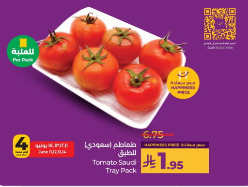 Tomato from Saudi Arabia available at LULU Hypermarket in KSA, Saudi Arabia, Saudi - Jeddah