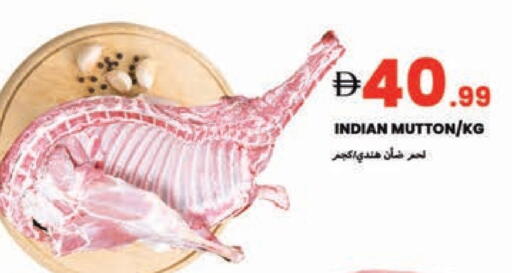 Meat - Fresh & Chilled in Rawabi Market Ajman, UAE Offers - United Arab Emirates Mutton / Lamb available at Rawabi Market Ajman in UAE - Sharjah / Ajman