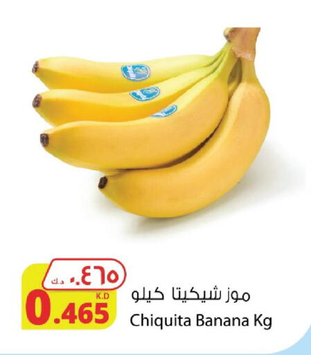 Banana available at Agricultural Food Products Co. in Kuwait - Kuwait City