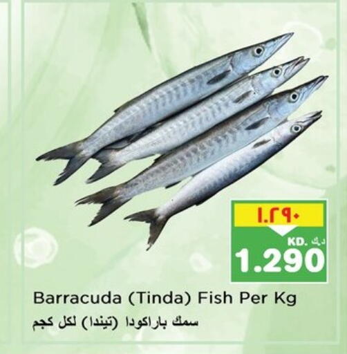 available at Nesto Hypermarkets in Kuwait - Kuwait City