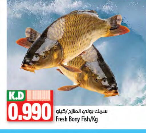 Mango available at Mango Hypermarket  in Kuwait - Kuwait City