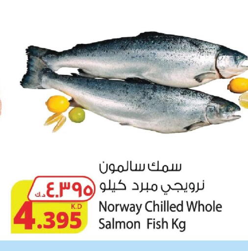 available at Agricultural Food Products Co. in Kuwait - Kuwait City