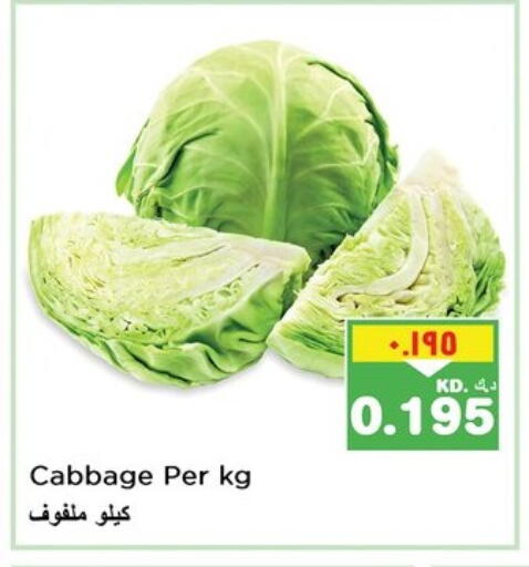 Cabbage available at Nesto Hypermarkets in Kuwait - Ahmadi Governorate