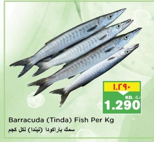 available at Nesto Hypermarkets in Kuwait - Kuwait City