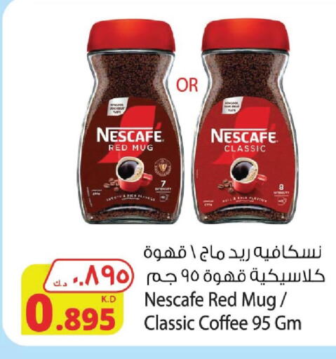 NESCAFE Coffee available at Agricultural Food Products Co. in Kuwait - Kuwait City