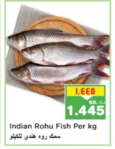 available at Nesto Hypermarkets in Kuwait - Kuwait City