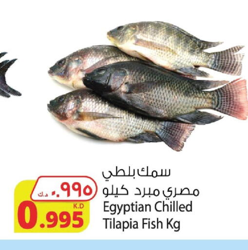 available at Agricultural Food Products Co. in Kuwait - Kuwait City