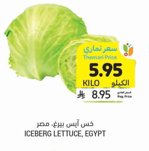 Fresh Vegetables in Tamimi Market, Saudi Arabia Offers - Saudi Arabia Lettuce from Egypt available at Tamimi Market in KSA, Saudi Arabia, Saudi - Khafji