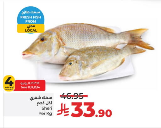 available at لولو هايبرماركت in مملكة العربية السعودية, السعودية, سعودية - الأحساء‎