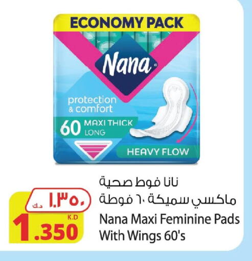 Feminine Hygiene in Agricultural Food Products Co., Kuwait Offers - Kuwait NANA available at Agricultural Food Products Co. in Kuwait - Kuwait City