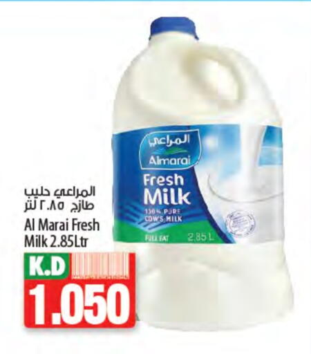 ALMARAI Fresh Milk available at Mango Hypermarket  in Kuwait - Kuwait City