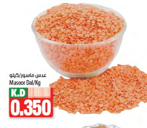 Mango available at مانجو هايبرماركت in الكويت - محافظة الجهراء