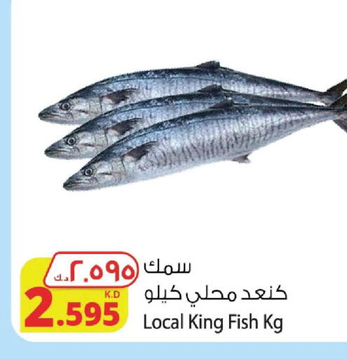 King Fish available at Agricultural Food Products Co. in Kuwait - Kuwait City