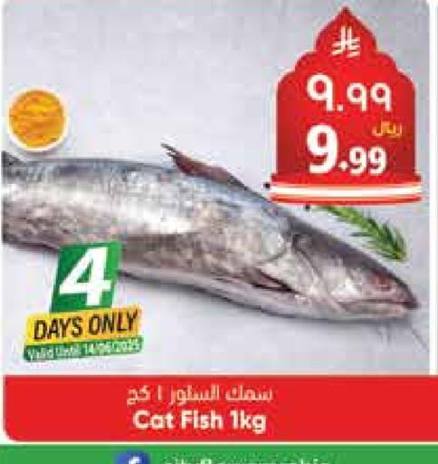 available at City Flower in KSA, Saudi Arabia, Saudi - Riyadh