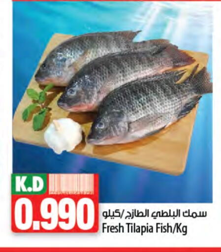 Mango available at Mango Hypermarket  in Kuwait - Kuwait City