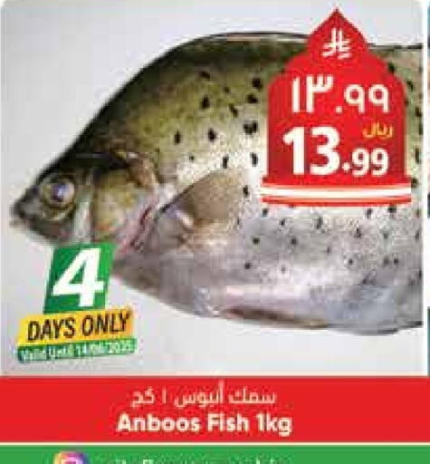 available at City Flower in KSA, Saudi Arabia, Saudi - Riyadh