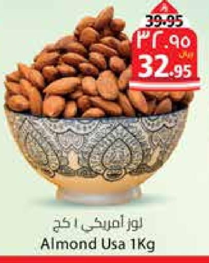 available at ستي فلاور in مملكة العربية السعودية, السعودية, سعودية - سكاكا