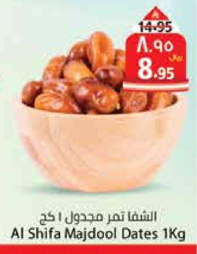 available at City Flower in KSA, Saudi Arabia, Saudi - Hail