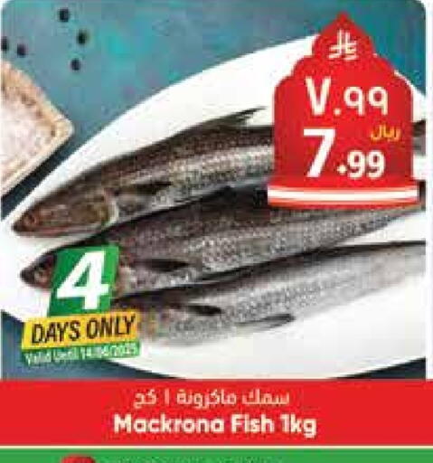 available at City Flower in KSA, Saudi Arabia, Saudi - Riyadh