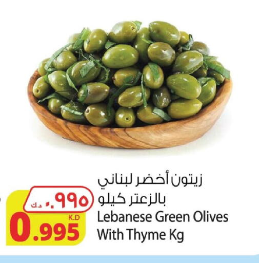 Thyme available at Agricultural Food Products Co. in Kuwait - Jahra Governorate