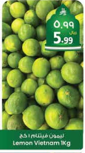 lemon from Vietnam available at City Flower in KSA, Saudi Arabia, Saudi - Riyadh