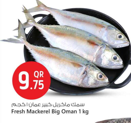 available at Safari Hypermarket in Qatar - Al Rayyan