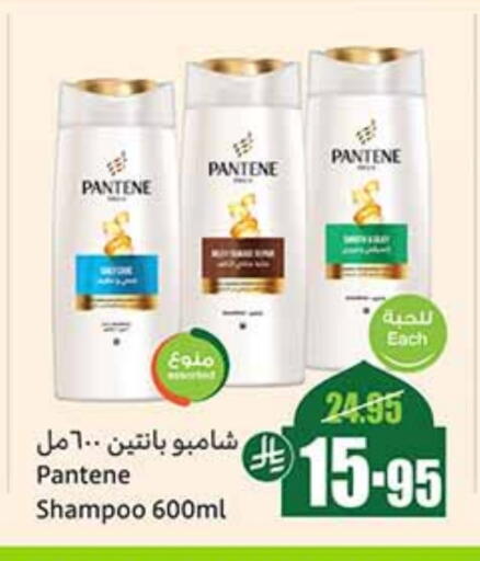 PANTENE Shampoo / Conditioner available at Othaim Markets in KSA, Saudi Arabia, Saudi - Al Qunfudhah