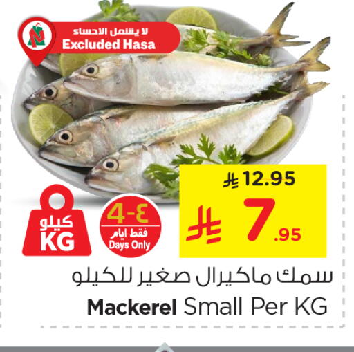 available at نستو in مملكة العربية السعودية, السعودية, سعودية - الأحساء‎
