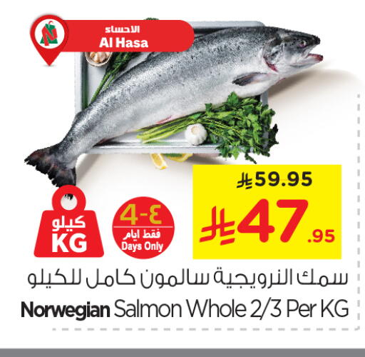 available at نستو in مملكة العربية السعودية, السعودية, سعودية - الأحساء‎