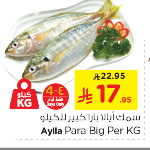 available at نستو in مملكة العربية السعودية, السعودية, سعودية - الأحساء‎