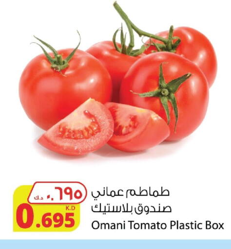 Tomato from Oman available at Agricultural Food Products Co. in Kuwait - Kuwait City