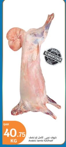 Mutton / Lamb available at City Hypermarket in Qatar - Al Shamal
