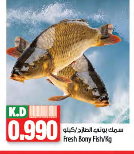 Mango available at Mango Hypermarket  in Kuwait - Kuwait City