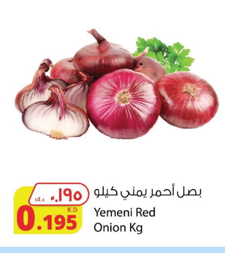 Onion from Yemen available at Agricultural Food Products Co. in Kuwait - Ahmadi Governorate