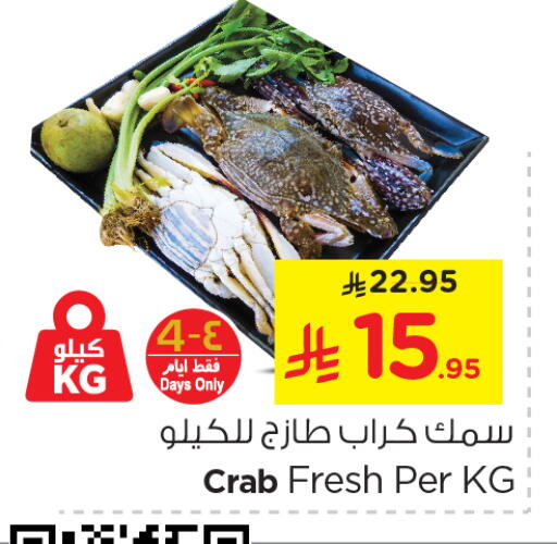 available at نستو in مملكة العربية السعودية, السعودية, سعودية - الأحساء‎