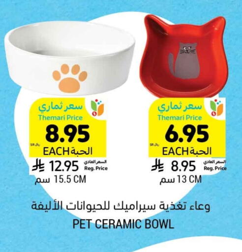 Dining & Serving in Tamimi Market, Saudi Arabia Offers - Saudi Arabia available at Tamimi Market in KSA, Saudi Arabia, Saudi - Ar Rass