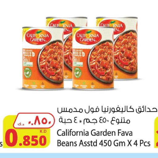 CALIFORNIA GARDEN Fava Beans available at Agricultural Food Products Co. in Kuwait - Kuwait City
