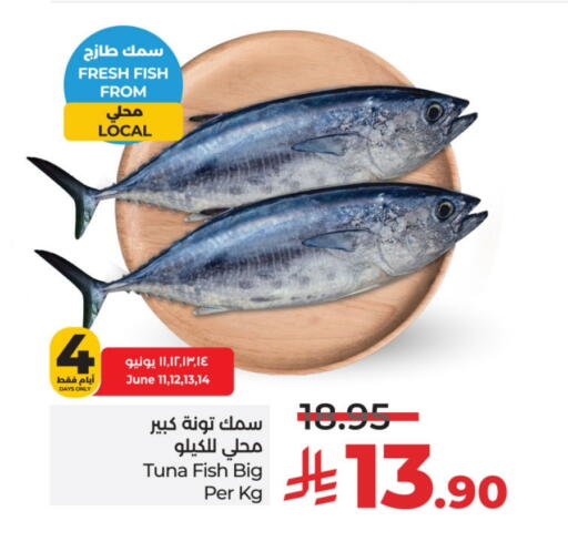 تونة available at لولو هايبرماركت in مملكة العربية السعودية, السعودية, سعودية - الأحساء‎