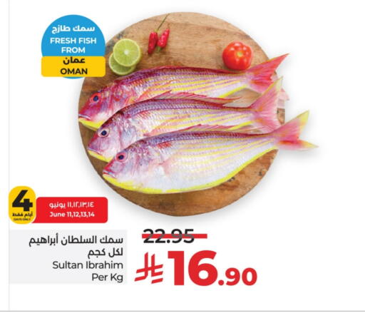 available at لولو هايبرماركت in مملكة العربية السعودية, السعودية, سعودية - الأحساء‎