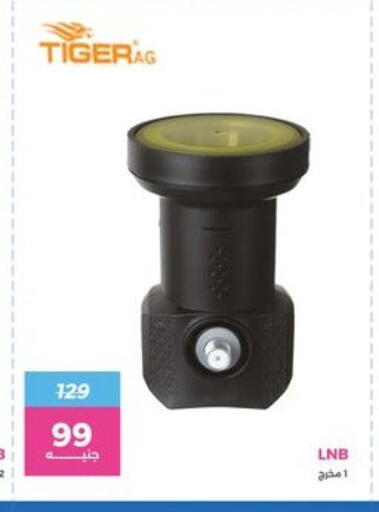 available at رنين in Egypt - القاهرة