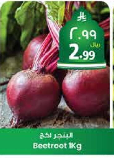 Beetroot available at City Flower in KSA, Saudi Arabia, Saudi - Sakaka