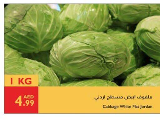 Fresh Vegetables in Istanbul Supermarket, UAE Offers - United Arab Emirates Cabbage from Jordan available at Istanbul Supermarket in UAE - Ras al Khaimah