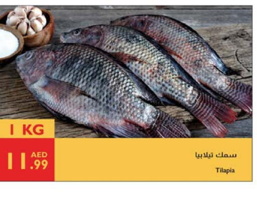 available at Istanbul Supermarket in UAE - Abu Dhabi