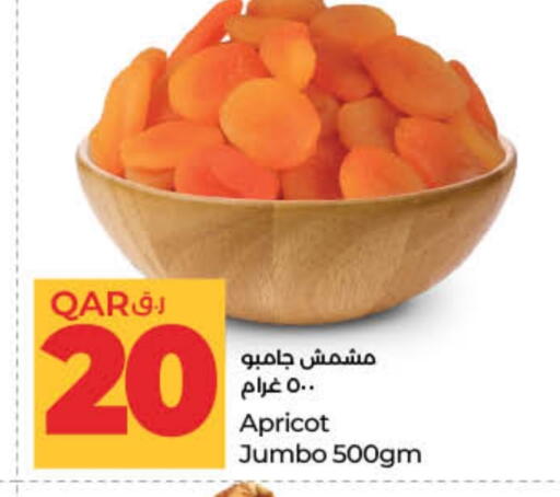 Apricot available at لولو هايبرماركت in قطر - الخور