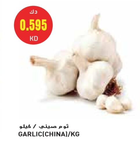 Garlic from China available at Grand Costo in Kuwait - Ahmadi Governorate