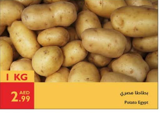 Potato from Egypt available at Istanbul Supermarket in UAE - Al Ain