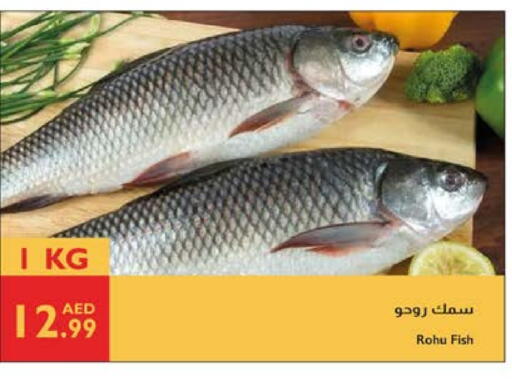 available at Istanbul Supermarket in UAE - Abu Dhabi