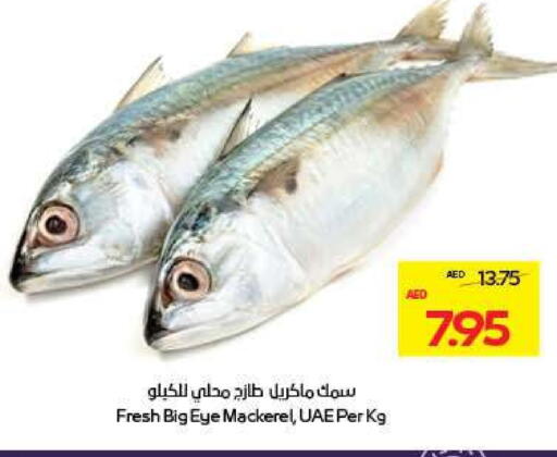 available at أدكووب in الإمارات العربية المتحدة , الامارات - ٱلْعَيْن‎
