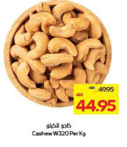 available at أدكووب in الإمارات العربية المتحدة , الامارات - ٱلْعَيْن‎
