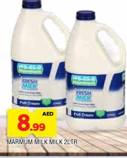 MARMUM Fresh Milk available at AL MADINA in UAE - Sharjah / Ajman